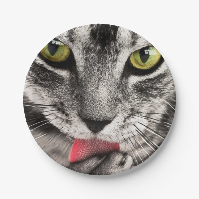Tabby Cat Licking Paw Pappteller (Vorderseite)
