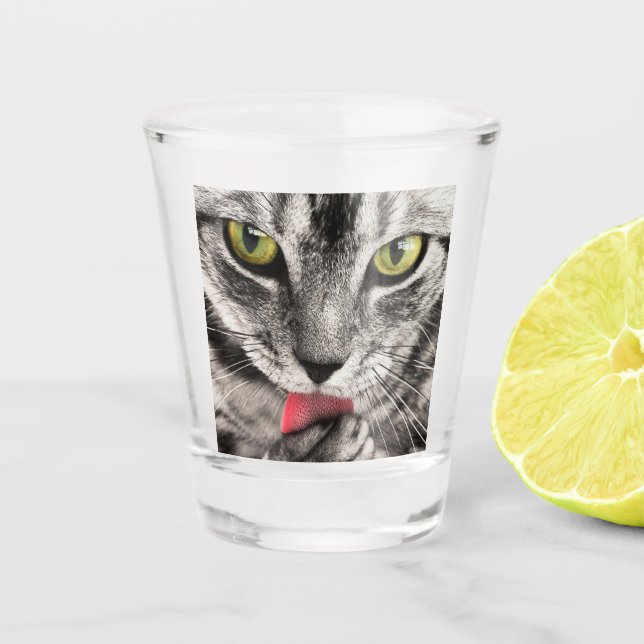 Tabby Cat Licking Paw Schnapsglas (Vorderseite)