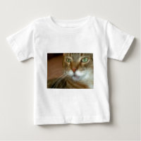 Tabby Cat Liebe