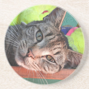 Tabby Cat Liebe Sandstein Untersetzer