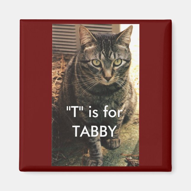 Tabby Cat Magnet Maroon Hintergrund (Vorne)