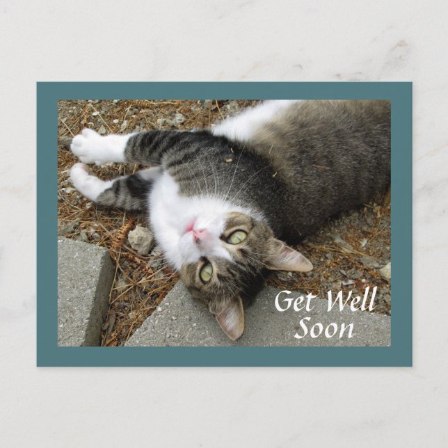 Tabby Cat mit Dreamy Eyes Get Well Postcard Postkarte (Vorderseite)