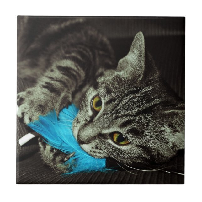 Tabby Cat mit Feather von Shirley Taylor Fliese (Vorderseite)