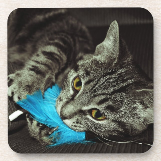 Tabby Cat mit Feather von Shirley Taylor Getränkeuntersetzer (Vorderseite)