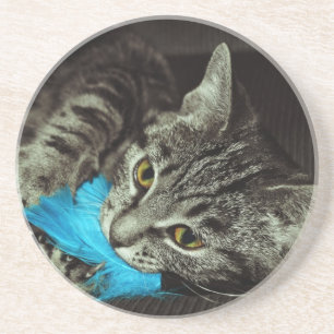 Tabby Cat mit Feather von Shirley Taylor Sandstein Untersetzer