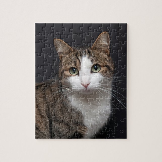 Tabby Cat mit grünen Augen gegen schwarzen Hinterg Puzzle (Vertikal)
