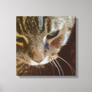 Tabby Cat Nah Up Wrapped Canvas Leinwanddruck
