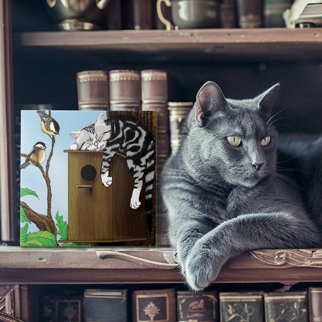 Tabby Cat Napping Birdhouse Fliese (Von Creator hochgeladen)