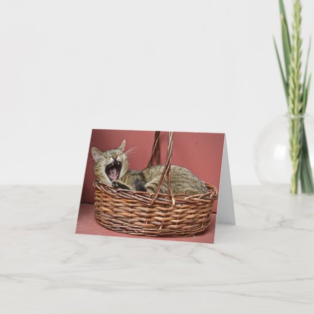 Tabby Cat Note Card Karte (Vorderseite)