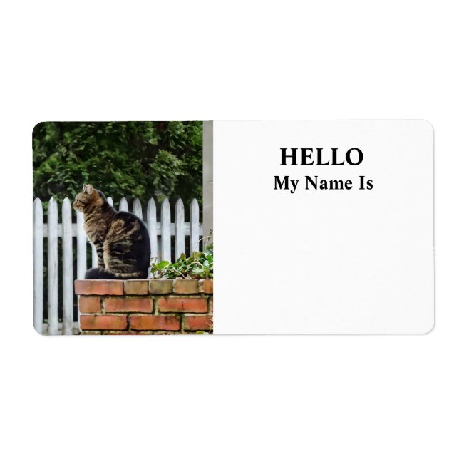 Tabby Cat on Brick Wall (Vorne)