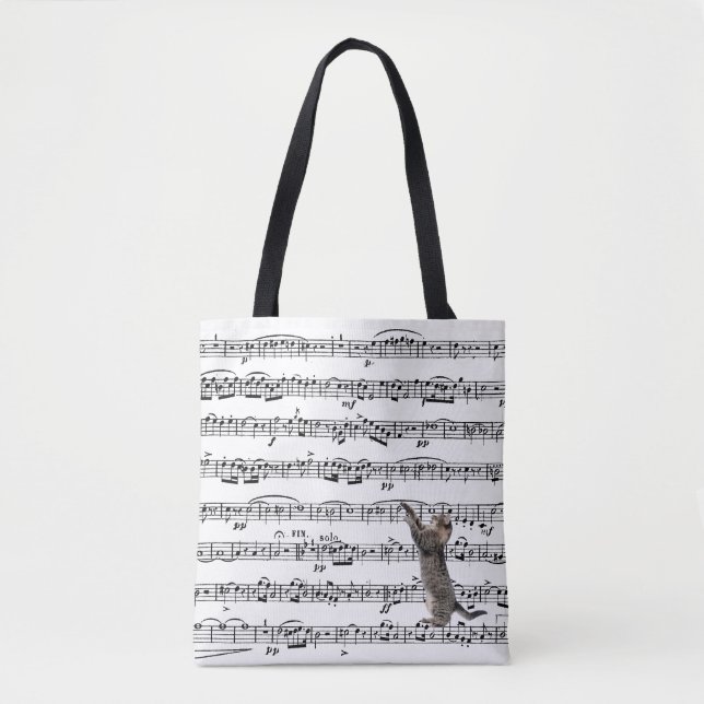Tabby Cat On Sheet Music (Vorderseite)