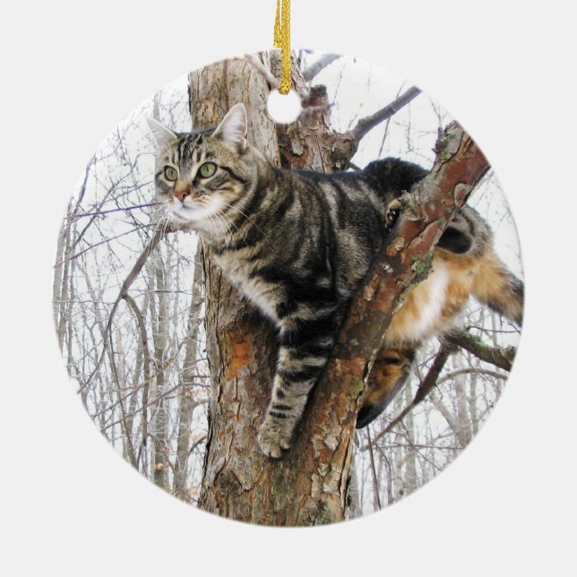 Tabby Cat Ornament (Hinten)