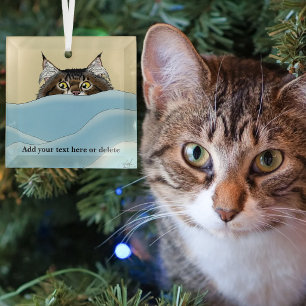 Tabby Cat Peeking Blue Funny Ornament Aus Glas
