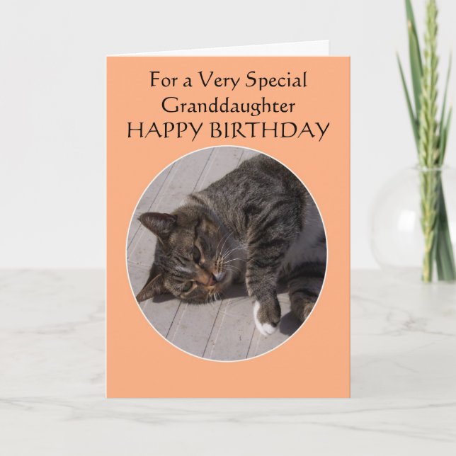 Tabby Cat Personalisiert Grandtochter Geburtstag Karte (Vorderseite)