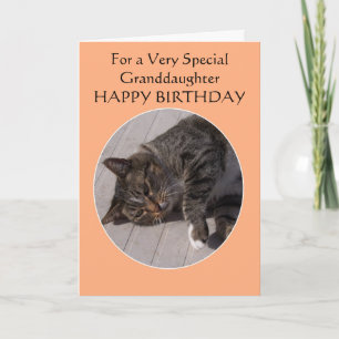 Tabby Cat Personalisiert Grandtochter Geburtstag Karte