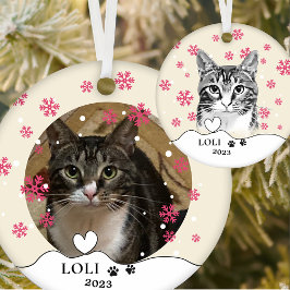 Tabby Cat Personalisiert Hand Zeichnend Keramik Ornament