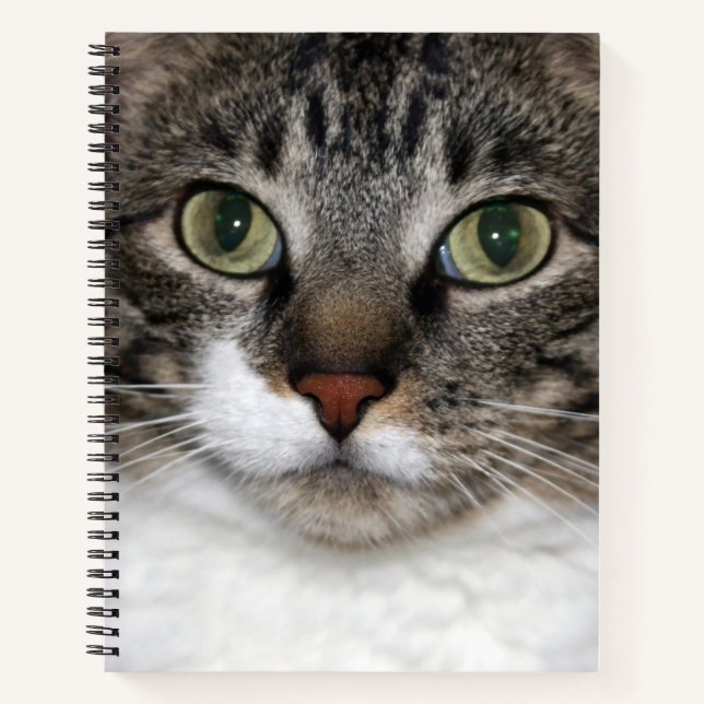 Tabby Cat Pet Animal Face Fotografie Notizbuch (Vorderseite)