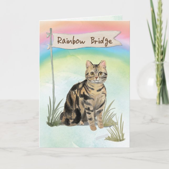 Tabby Cat Pet Beileid über Regenbogenbrücke Karte (Vorderseite)