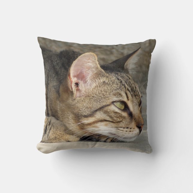 Tabby Cat Pillow Kissen (Vorderseite)