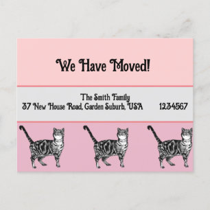 Tabby Cat Pink neue Adresse Postcard, wir bewegen Postkarte