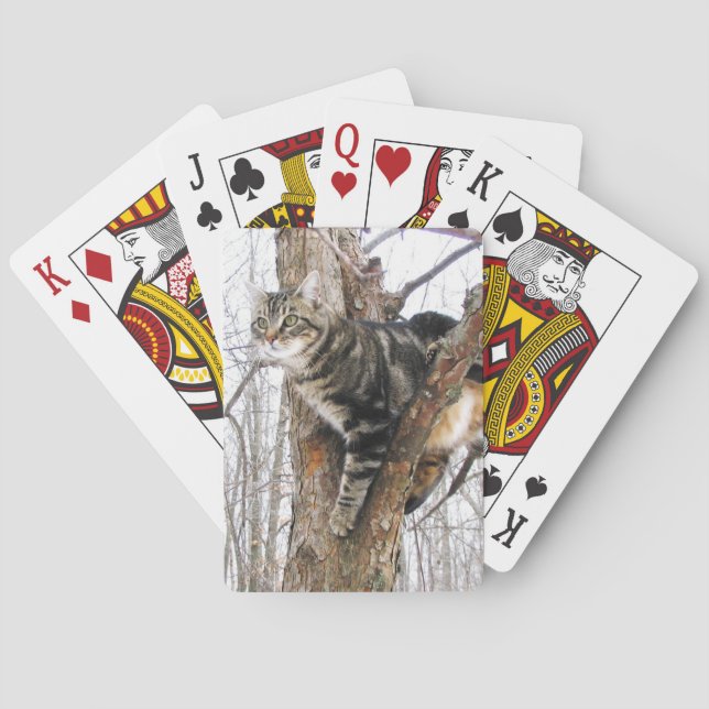 Tabby Cat Playing Cards Spielkarten (Rückseite)