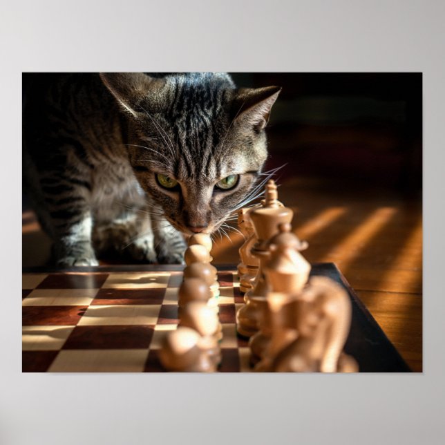 Tabby Cat Playing Schach Poster (Vorne)