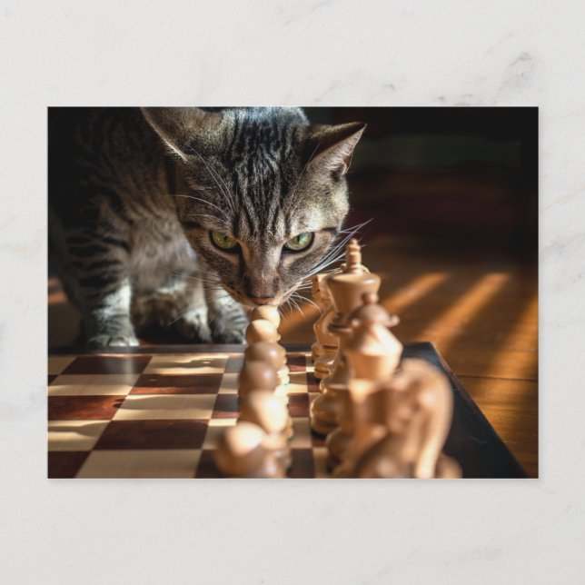 Tabby Cat Playing Schach Postkarte (Vorderseite)