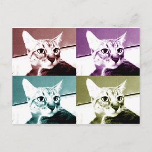 Tabby Cat - Pop Art Postkarte