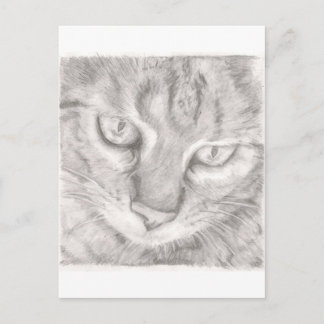 Tabby Cat Postkarte