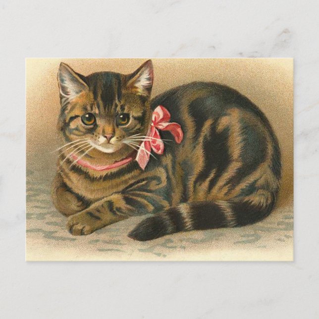 "Tabby Cat" Postkarte (Vorderseite)
