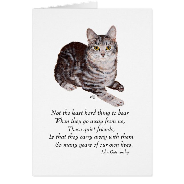 Tabby Cat Rainbow Bridge (Vorne)