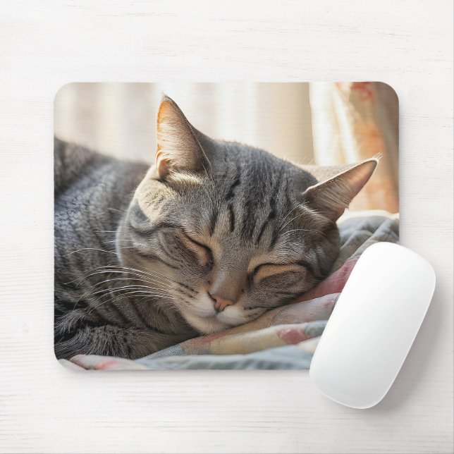 Tabby Cat Schlafen auf altes Häuschen Mousepad (Mit Mouse)