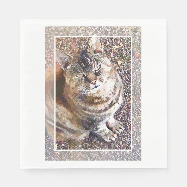 TABBY CAT SERVIETTE (Vorderseite)