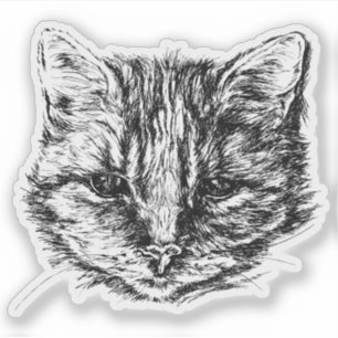 Tabby Cat Sketch Aufkleber
