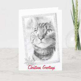 Tabby Cat Sketch Christmas Card Feiertagskarte
