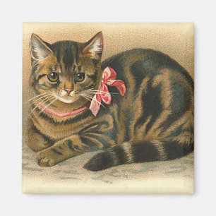 "Tabby Cat" Square Magnet