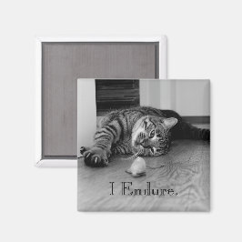 Tabby Cat Stretched Out, Toy Mouse, ich Endlich Magnet