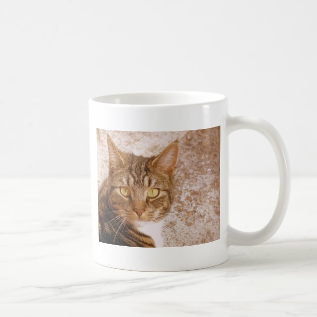 Tabby Cat Tasse (Rechts)