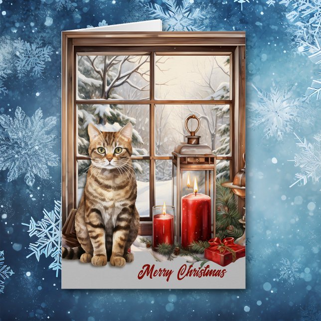 Tabby Cat und Kerzen im Winter Weihnachten (Von Creator hochgeladen)