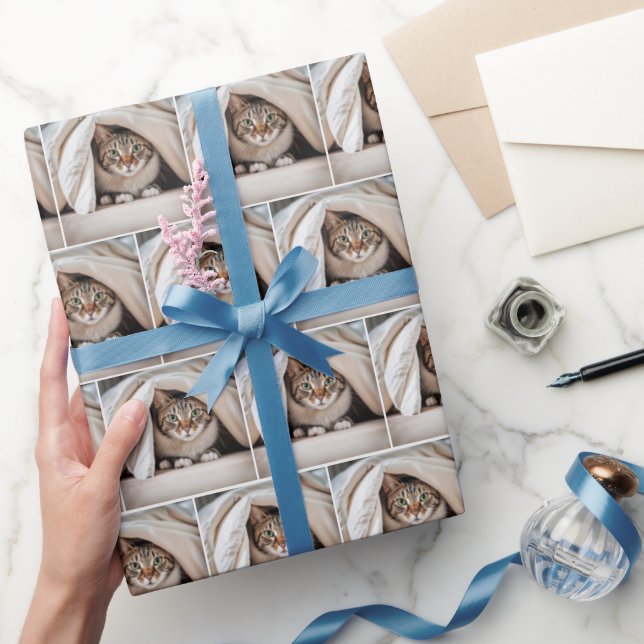 Tabby Cat versteckt sich unter einer Decke Geschenkpapier (Schenken)