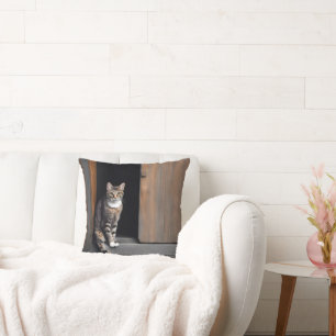 Tabby Cat vor der Tür Kissen