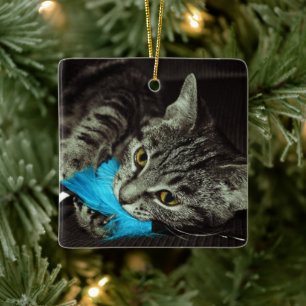 Tabby Cat with Feather by Shirley Taylor Keramikornament