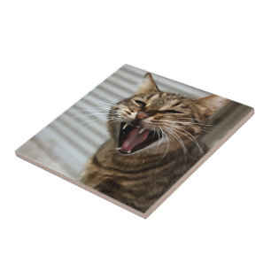 Tabby Cat Yawning Artistic Portrait Fliese