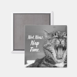 Tabby Cat Yawning, nicht jetzt Nickerchen Time Magnet