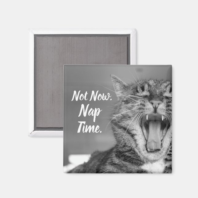 Tabby Cat Yawning, nicht jetzt Nickerchen Time Magnet (Vorderseite/Rückseite)
