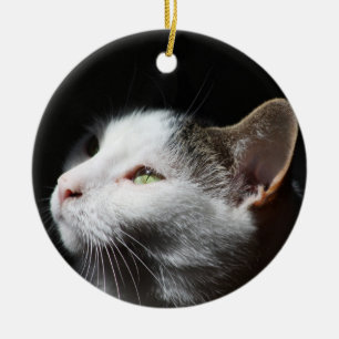 Tabby Cat-Zierwerk Keramikornament