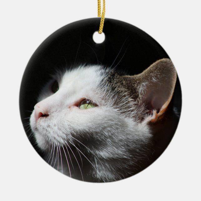Tabby Cat-Zierwerk Keramikornament (Vorne)