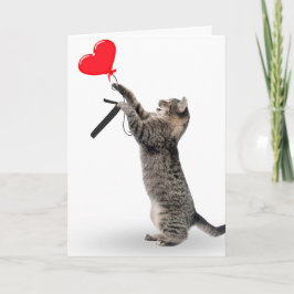 Tabby Cat zum 7. Geburtstag Karte