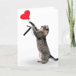 Tabby Cat zum 7. Geburtstag Karte