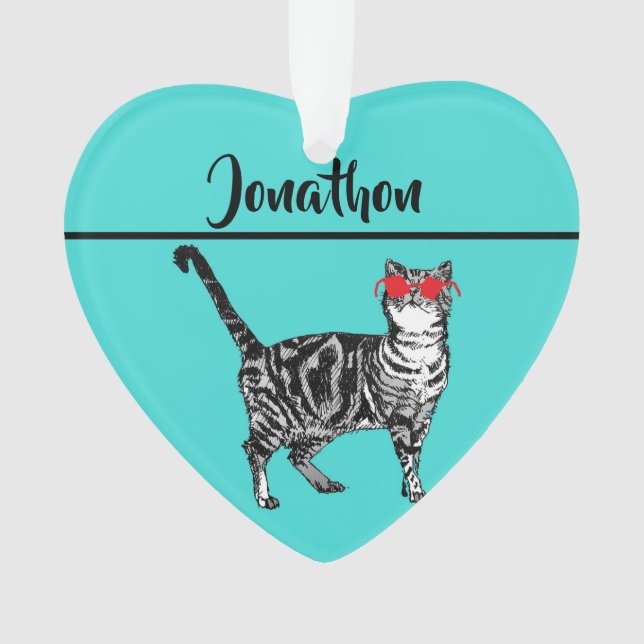 Tabby Cats 'One Cool Cat' Aqua Boys Mens Ornament (Vorderseite)